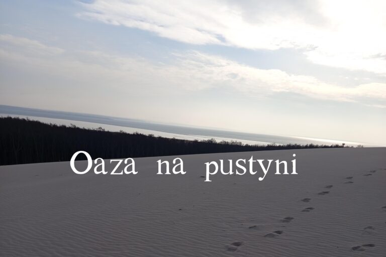 Oaza na pustyni: Dwunasty Tydzień Zwykły (Rok C)